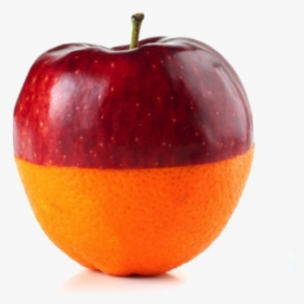 Apples And Oranges - Transparent Apples And Oranges, HD Png Download, Transparent PNG