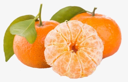 Mandarin Orange, HD Png Download, Transparent PNG