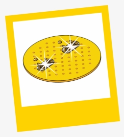 Circle, HD Png Download, Transparent PNG