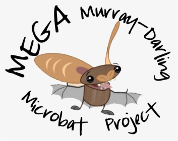 Mega Bat Project Final - Mega Murray Darling Microbat Project, HD Png Download, Transparent PNG