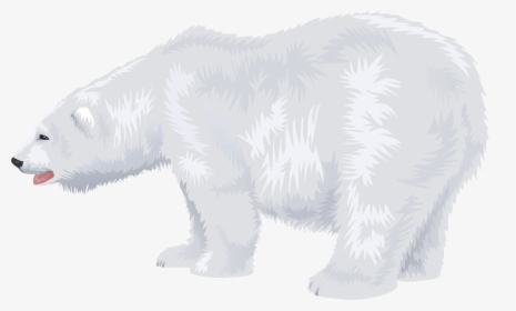 Download This High Resolution Polar Bear Transparent - Transparent Background Clip Art Polar Bear, HD Png Download, Transparent PNG