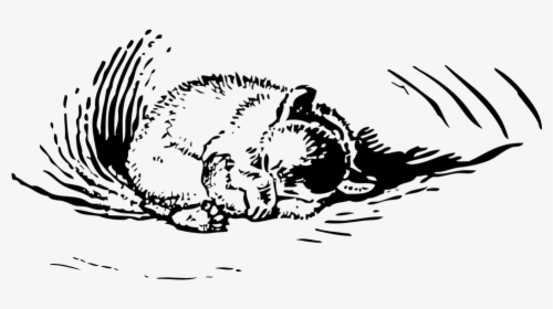 Bear Cub Sleeping - Bear Cub Sleeping Drawing, HD Png Download, Transparent PNG