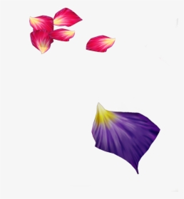 Purple Rose Petals Transparent Background, HD Png Download, Transparent PNG