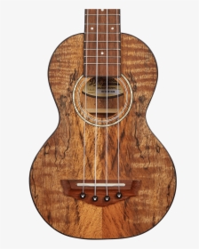 D Angelico Montauk Soprano Ukulele - D'angelico Guitars, HD Png Download, Transparent PNG