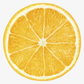 Transparent Lemon Slice Png - Цитрус Картинки, Png Download, Transparent PNG