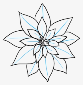 How To Draw Poinsettia - Drawing Of A Poinsettia, HD Png Download, Transparent PNG