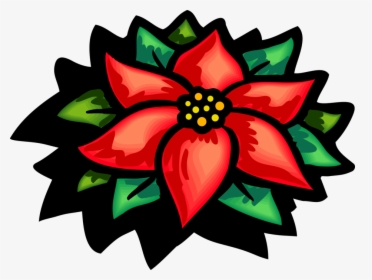 Vector Illustration Of Poinsettia Traditional Christmas - Poinsettia Clipart, HD Png Download, Transparent PNG