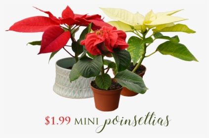 Flowerpot, HD Png Download, Transparent PNG