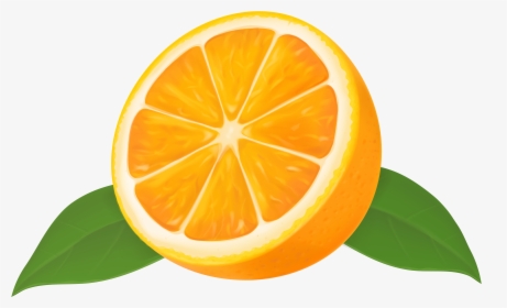 Orange Slice PNG Images, Transparent Orange Slice Image Download - PNGitem