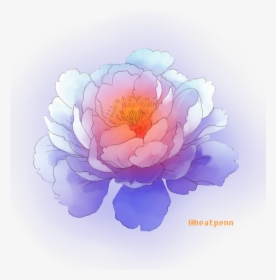 Common Peony , Png Download - Common Peony, Transparent Png, Transparent PNG