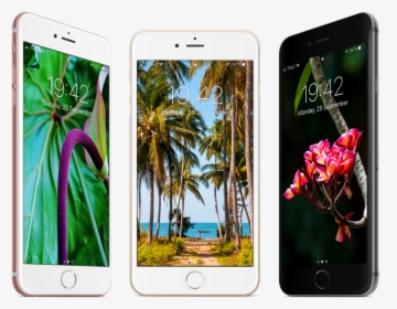 Free Tropical Wallpapers For Iphone - Iphone 8 Tropical, HD Png Download, Transparent PNG