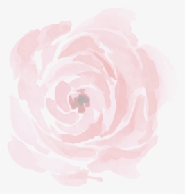 #ftestickers #background #overlay #peony #rose #transparent - Garden Roses, HD Png Download, Transparent PNG