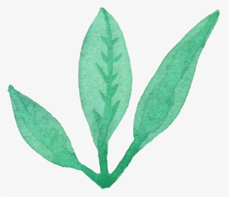 Watercolor Leaf Png - Free Leaves Watercolor Png, Transparent Png, Transparent PNG