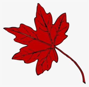 Transparent Red Leaf Png - Green Maple Leaf Clipart, Png Download, Transparent PNG