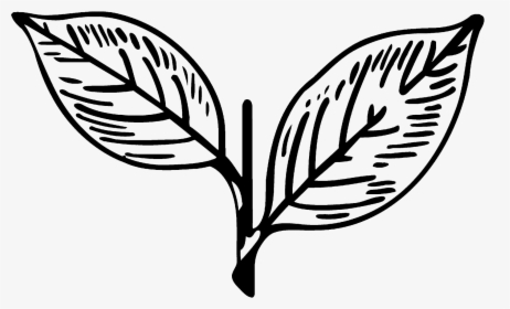 Aiadmk Two Leaves - Symbol Of All India Anna Dravida Munnetra Kazhagam, HD Png Download, Transparent PNG