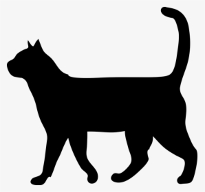 Cat, Animal, The Silhouette, Outside, Domestic Cat - Black Cat Silhouette Walking, HD Png Download, Transparent PNG