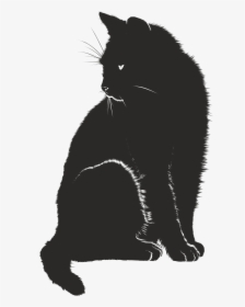 Free Clipart Of A Black And White Sitting Cat - Black Cat Graphic, HD Png Download, Transparent PNG