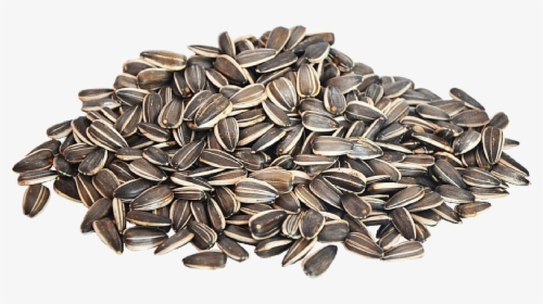 Download Sunflower Seeds Png Image - Sunflower Seeds Png Cartoon, Transparent Png, Transparent PNG