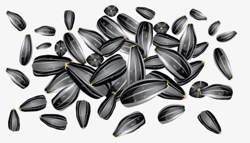 Sunflower Seeds Png Image - Sunflower Seed Vector Free, Transparent Png, Transparent PNG