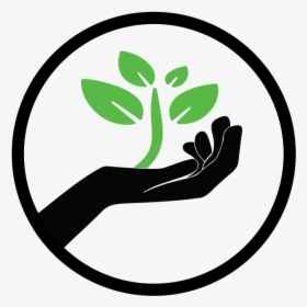 Planting Seeds Png - Plant Logo, Transparent Png, Transparent PNG