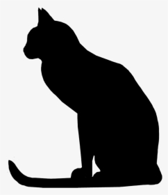 Attentive Cat Silhouette, Cat With Long Tail Silhouette - Raccoon, HD Png Download, Transparent PNG