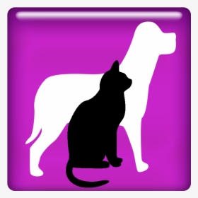 Lost & Found - Cat, HD Png Download, Transparent PNG