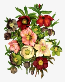Transparent Free Clipart Spring Flowers, HD Png Download, Transparent PNG