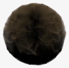 Fur Clothing, HD Png Download, Transparent PNG