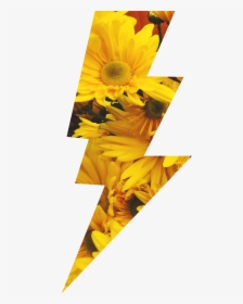 #sunflowers #lightningbolt #lightning #yellow #flowers - Lightning Bolt Flower, HD Png Download, Transparent PNG