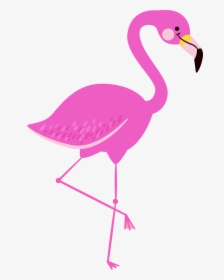 Flamingo Transparent Water Clipart - Png Transparent Flamingo Png, Png Download, Transparent PNG