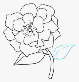 How To Draw A Really Easy Tutorial - Cut Flower Drawing, HD Png Download, Transparent PNG