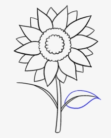 How To Draw Sunflower - Aesthetic Sunflower Drawing Easy, HD Png Download, Transparent PNG