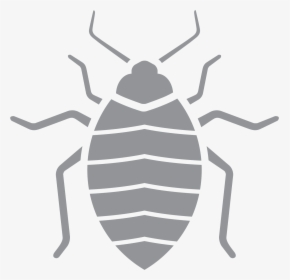 Pest Control, HD Png Download, Transparent PNG