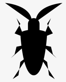 Ground Beetle, HD Png Download, Transparent PNG