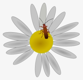 Bug On A Flower Png Clip Arts - Clipart Bug On A Flower, Transparent Png, Transparent PNG