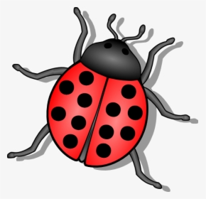 Lady Bug Svg Clip Arts - Insect Clipart, HD Png Download, Transparent PNG