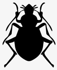 Transparent Bug Png - Insect Vector Png, Png Download, Transparent PNG