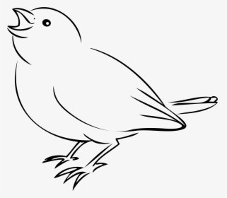 Sparrow Clip Arts - Dibujos Faciles De Aves, HD Png Download, Transparent PNG