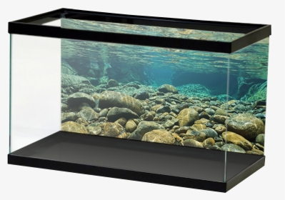 Transparent Underwater Png - Underwater Rocks, Png Download, Transparent PNG
