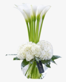 Lily Transparent Vase Png White Calla Lily Arrangements - Calla Lily And Hydrangea, Png Download, Transparent PNG