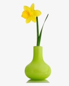 Thumb Image - Flowers In Vases, HD Png Download, Transparent PNG