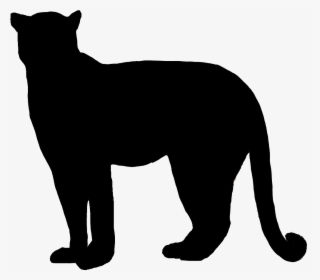Vector Freeuse Bobcat Clipart Silhouette - Cougar Silhouette Transparent Background, HD Png Download, Transparent PNG