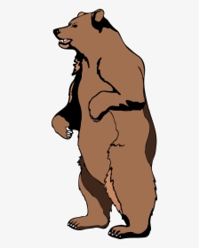Black Bear Clipart Standing Bear - Cartoon Standing Bear Drawing, HD Png Download, Transparent PNG