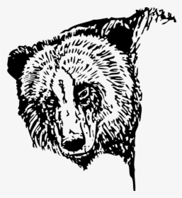 Bear Head Drawing Svg Clip Arts - Bear Line Drawing Transparent, HD Png Download, Transparent PNG