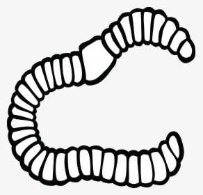 Earthworm Clip Art - Worm Black And White Clipart, HD Png Download, Transparent PNG