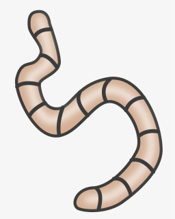 Reptile,line,worm - Transparent Worm Clipart, HD Png Download, Transparent PNG