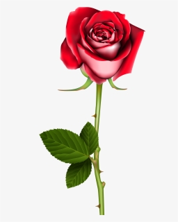 Rose Png Clip Art - Transparent Background Roses Transparent, Png Download, Transparent PNG