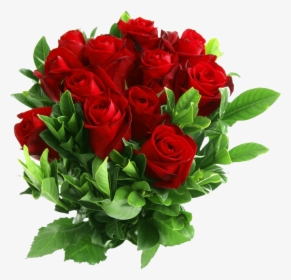 Download Red Rose Png Clipart - Red Rose Flower Png, Transparent Png, Transparent PNG