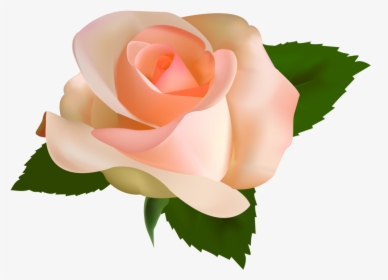 Beautiful Rose Png Clipart - Peach Rose Rose Clipart, Transparent Png, Transparent PNG