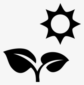 Transparent Sun Vector Png - Sun Plant Icon, Png Download, Transparent PNG